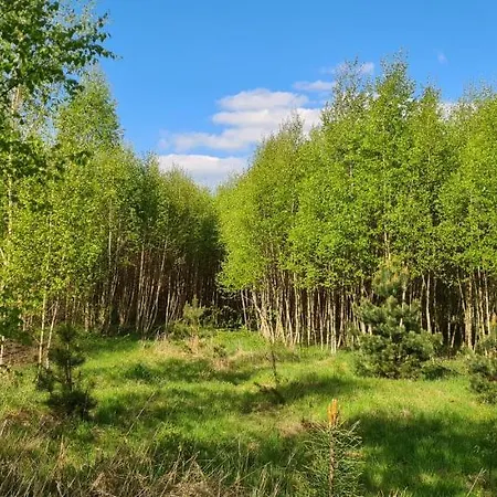 Mazovia Village - Blisko Suntago 度假居 Puszcza Marianska