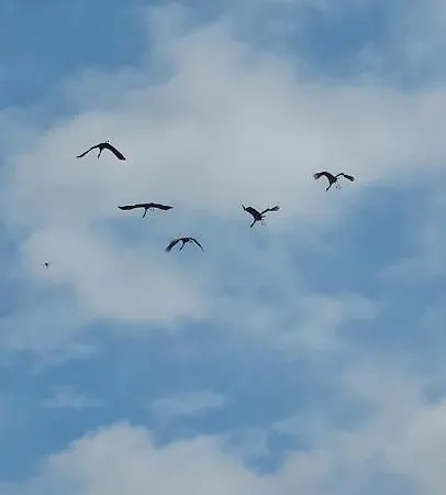 Mazovia Village - Blisko Suntago 펜션 *